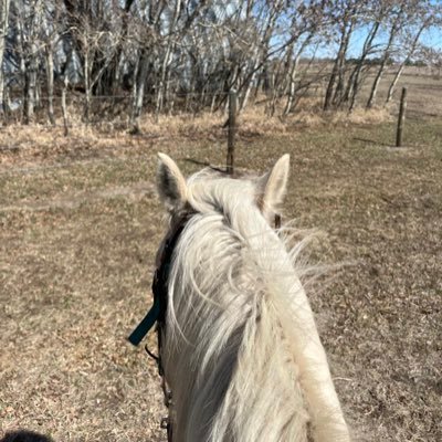 Operated family farm, equipment dealerships. All things ag, horses, dogs and grandkids. Any day riding is a good one.