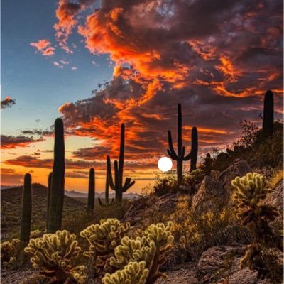 diamondcart1999's profile picture. 