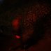 DOOMBOY (@bisaiah_) Twitter profile photo DOOMBOY (@bisaiah_) Twitter profile photo