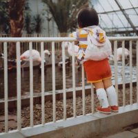 iwashi (@ganchan_deesu) 's Twitter Profile Photo