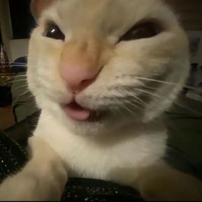 Mikermen's profile picture. poopity scoop