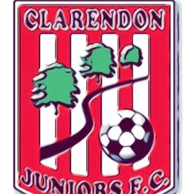 Youth Football Club based near Salisbury Wiltshire UK. Adult section: @clarendonmensfc