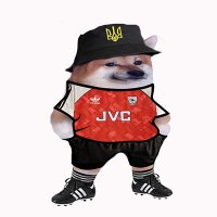JimboFella (@jimbowarner2) 's Twitter Profile Photo