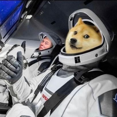 HaJiDoge's profile picture. 