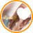 ryuki_orange811