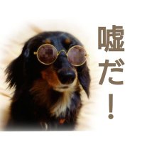 よう (@yoh_syufsnotan) 's Twitter Profile
