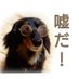 よう (@yoh_syufsnotan) Twitter profile photo よう (@yoh_syufsnotan) Twitter profile photo
