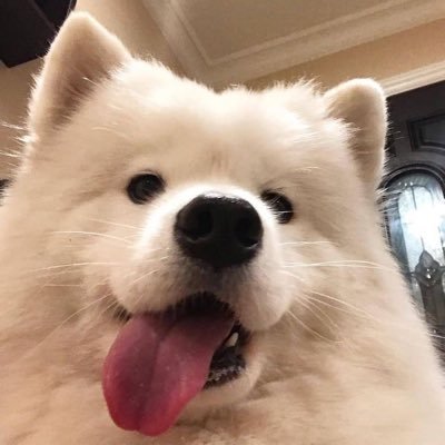 ƧΉIΉӨ 🍒さんのプロフィール画像