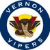 Vernon Vipers (@VernonVipers) Twitter profile photo