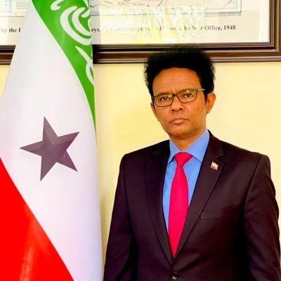 Somaliland Representative to Kenya & Head of Mission, Former senior advisor to MFA, Author, PhD in Political Science | All tweets reflect my personal views only