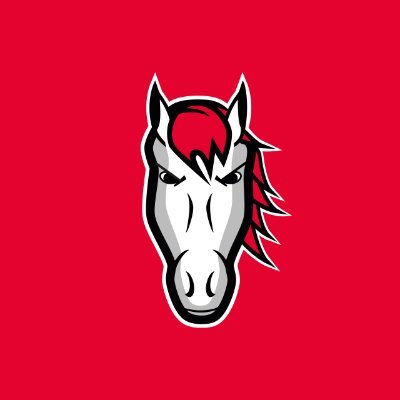 Official account of Leicester Riders. Founded 1967. Honours: 6x BBL League Champions, 4x BBL Cup Champions, 6x BBL Play-off Champions, 3x BBL Trophy Champions.