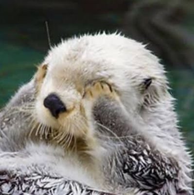 santora1999's profile picture. 世界人類が平和でありますように　LOVE