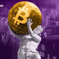 Nguyen Chi Hieu (@hieu0077) 's Twitter Profile