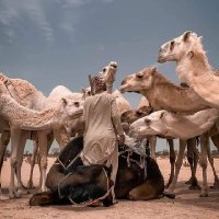 يونس بوأمنيسي (@y399m) 's Twitter Profile