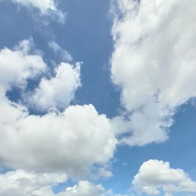 amida_fuji's profile picture. 