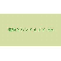 植物とハンドメイド mm - ﾐﾘ - (@mmaccessory) Twitter profile photo