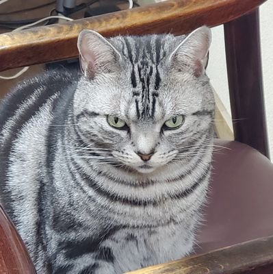 opamp_29nabe's profile picture. ダーツ中心ですが、色々楽しい事を。
AOKIのグループ企業によく課金。
＃ダーツ好きと繋がりたい