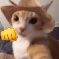Kayla☆Woman Enjoyer (@smolndepressed) 's Twitter Profile