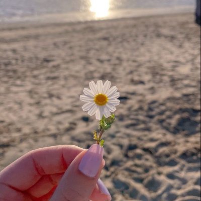 uci_xx's profile picture. 