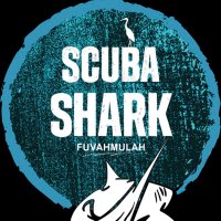 Scuba Shark Fuvahmulah(@Scubasharkfvm) 's Twitter Profile Photo