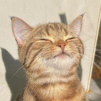i (@sw_chi7) 's Twitter Profile