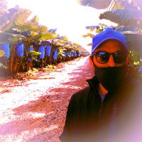 The Alternative Investor (@writedoshare) 's Twitter Profile