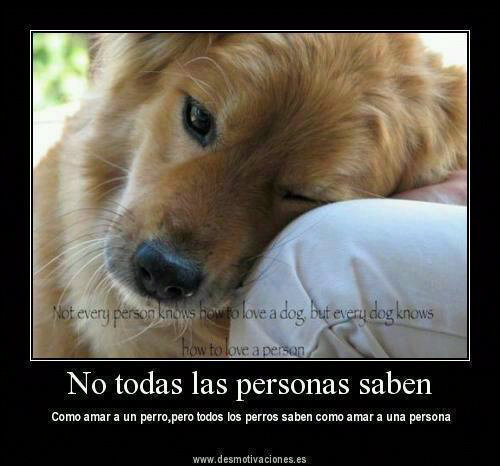 enlavia_62's profile picture. 