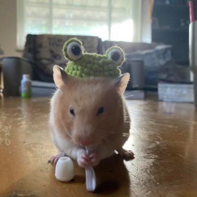 Is this a hamster or a frog? We may never know... It could be a cool hamster wearing a frog hat... or a frog hat wearing a hamster suit.