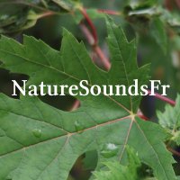 NatureSoundsFr(@NatureSoundsFr) 's Twitter Profile Photo