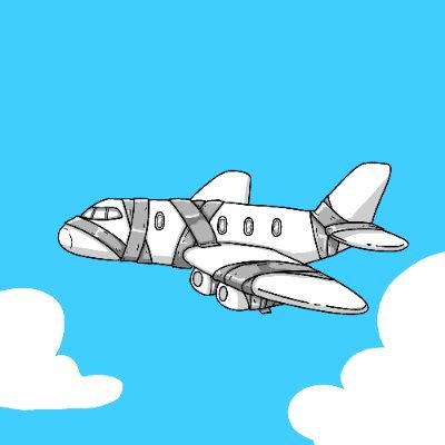 boeingmemecoin's profile picture. 