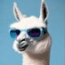 Daily Llama (@dailyllama53) Twitter profile photo