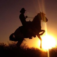 Constantin Damian Dima (@damydidcon) 's Twitter Profile