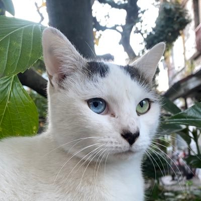 タバコとパチンコの次に動物が好き