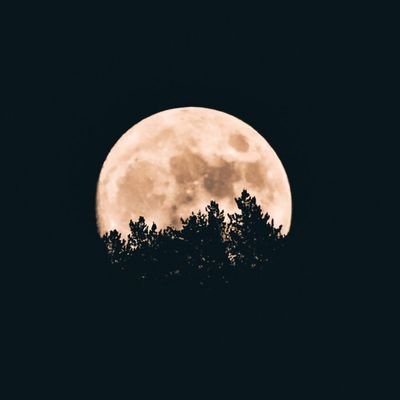 Minuit-1 Profile