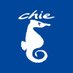 chie (@chie_band) Twitter profile photo chie (@chie_band) Twitter profile photo