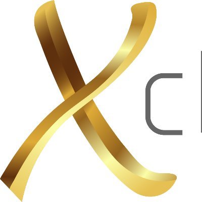 XchangeGlobal24's profile picture. 