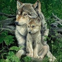 Tengri biz menen🐺 Ümit Özdağ'ı Serbest Bırakın (@mavibisiklet26) 's Twitter Profile Photo