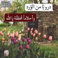 اسرار علي (@best_the22706) Twitter profile photo