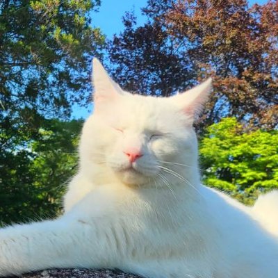 Munkさんのプロフィール画像