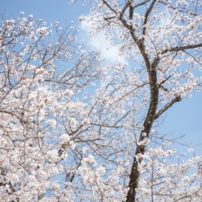 keyn89902373's profile picture. YouTube見るのが大好きです。 ロードバイク楽しんでます。