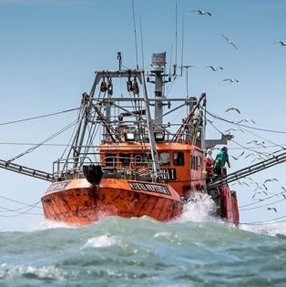 Defendamos la pesca