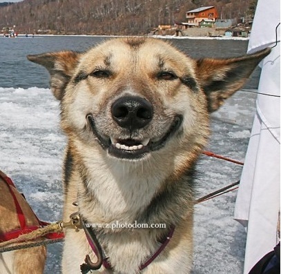 SvetlanaFedak's profile picture. 