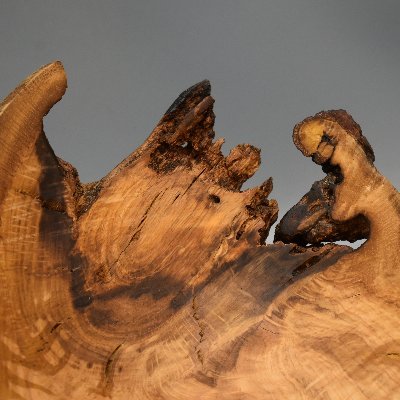 labdimax's profile picture. Wood Artist