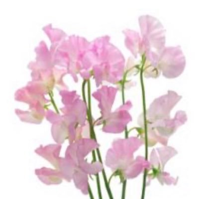 Hydeさん❤️中国ドラマ❤️許凱さん❤️呟きは許凱さんがほとんどです💗ドラマの感想がうまく言えず皆さまのポストにいいねさせていただいてばかりで🙇♀️いつも感謝の気持ちで拝見しています🍀いつまでも不慣れで失礼がありましたらすみません🙇♀️
