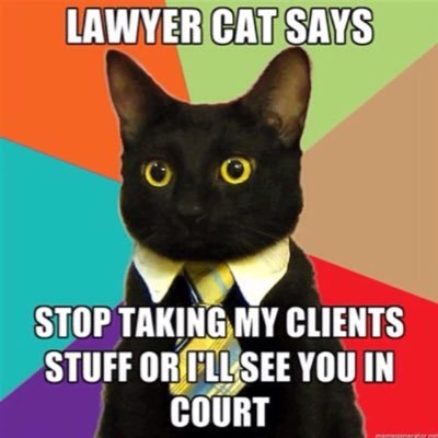 Litigation partner. BigLaw escapee. Divorced dad. RTs = the unanimous view of all lawyers everywhere.