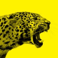 Locarno Film Festival (@filmfestlocarno) 's Twitter Profile