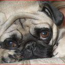 Jack Maverick - @JackMaverick898 - Twitter