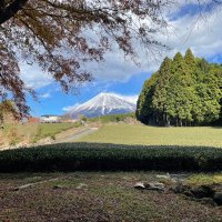 kosssssssssssssssssy (@kossyttii) 's Twitter Profile