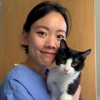 May Yean (@mayyean) 's Twitter Profile