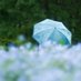 倧宮ãããsunâªïžå¿ã«çããâŠâªïž (@ohmiya_a_photo) Twitter profile photo 倧宮ãããsunâªïžå¿ã«çããâŠâªïž (@ohmiya_a_photo) Twitter profile photo